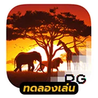 Safari Wilds